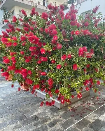 Apartamento Nora House