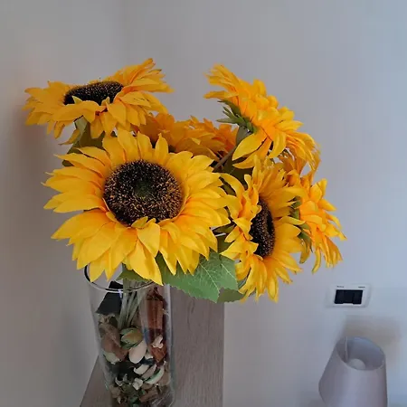 アパート Nora House サヴォーナ